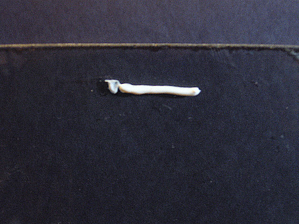 cpug bead.JPG