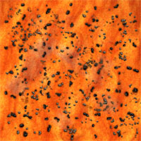 MarsNaturalGrid.jpg